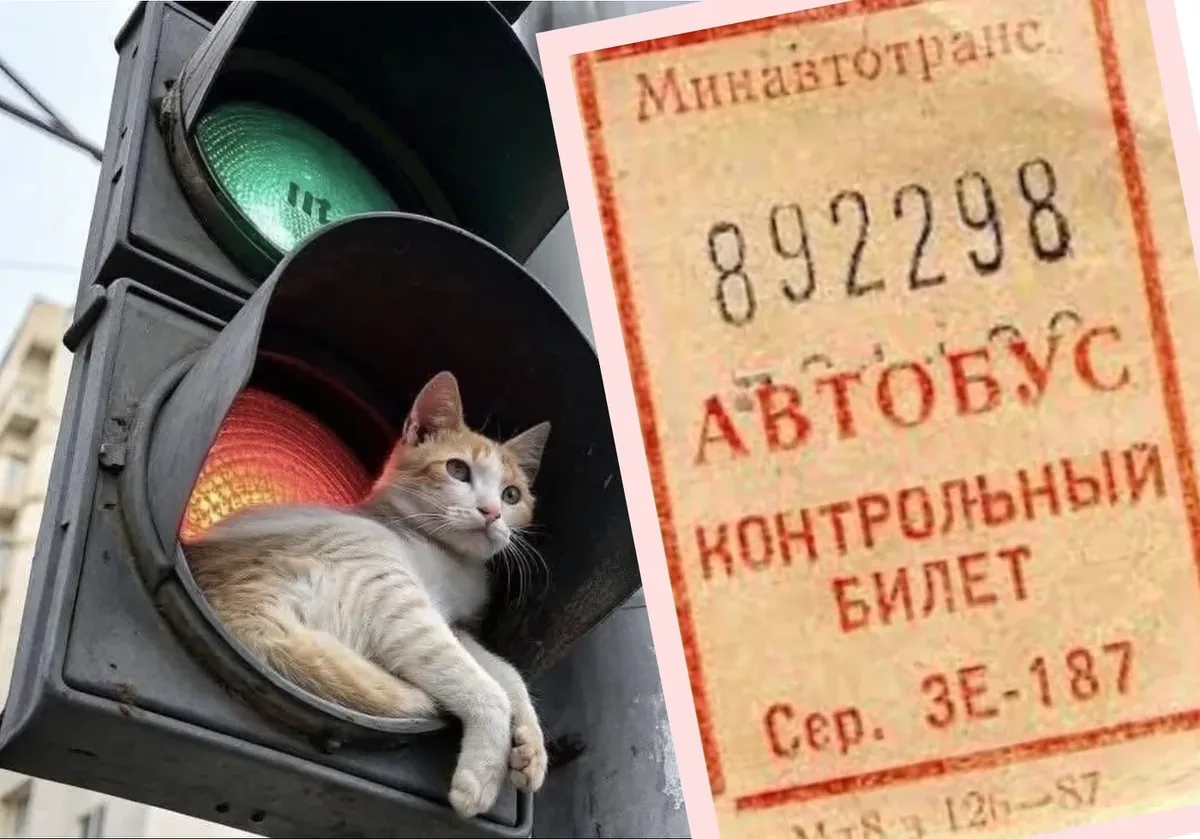 Афиша: Привычки калининградцев, юмор, суеверия не только подростковые, страшилки, легенды калининградских дворов