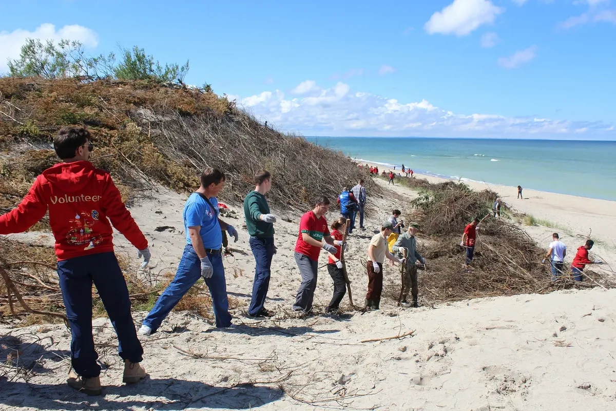 Афиша: История образования и развития национального парка «Куршская коса»