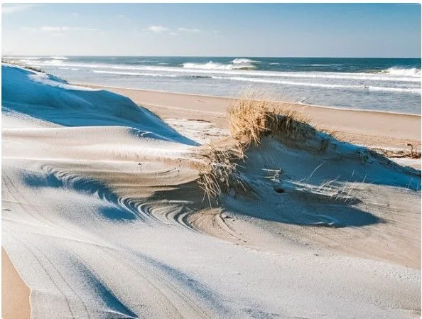 Афиша: Первые на косе