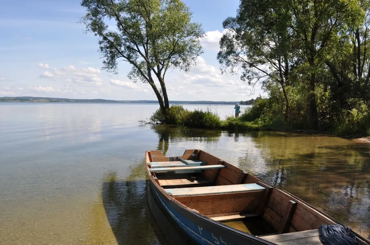 Афиша: Виштынецкая возвышенность: освоение с 1945 года, современность и перспективы