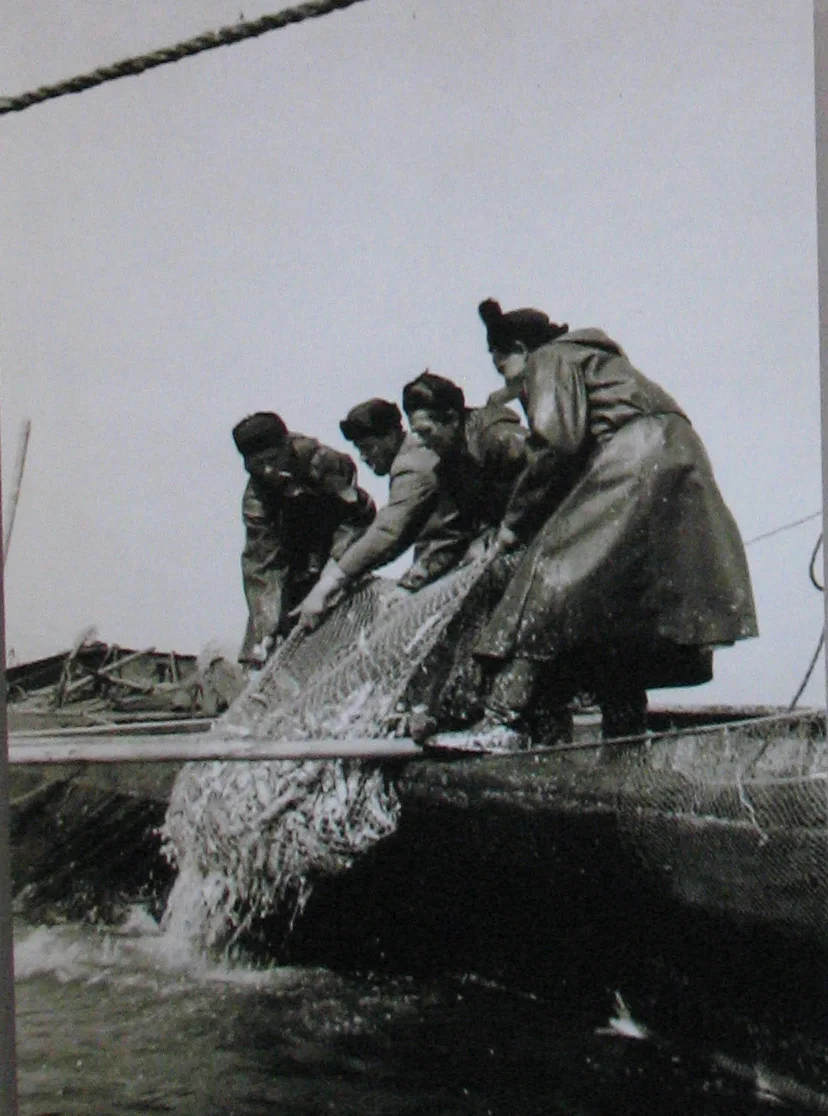 Афиша: Приморский (Зеленоградский) район Калининградской области в советское время на этапе становления